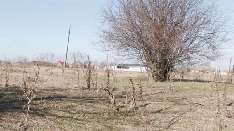 Szívtelen pátrohai testvérek: egy sötét téli éjszakán, érzelem nélkül dobták ki ismerősüket az autóból, majd hátat fordítva hagyták magára a kihalt utcákon.