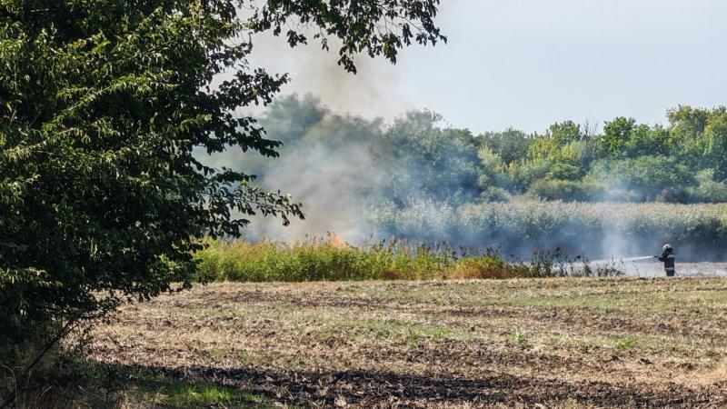 Tűzeset történt Sárbogárd közelében – exkluzív helyszíni fotók és videó készültek az eseményről.