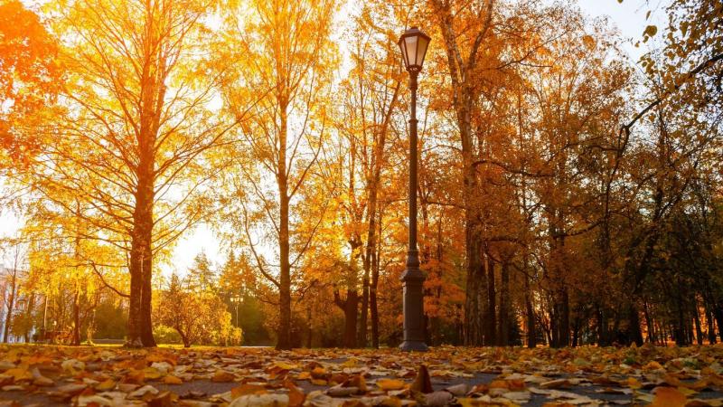 Holnapi időjárás-előrejelzés: Íme, hogyan alakul a hőmérséklet és a csapadék mennyisége!