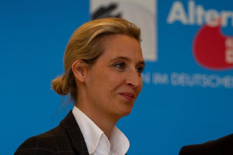 Az AfD-t hivatalosan is szélsőjobboldali és alkotmányellenes pártként azonosították.