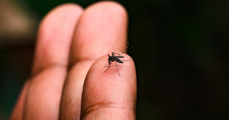 Fenyegető vírus terjedése figyelhető meg a közkedvelt európai üdülőhelyeken.