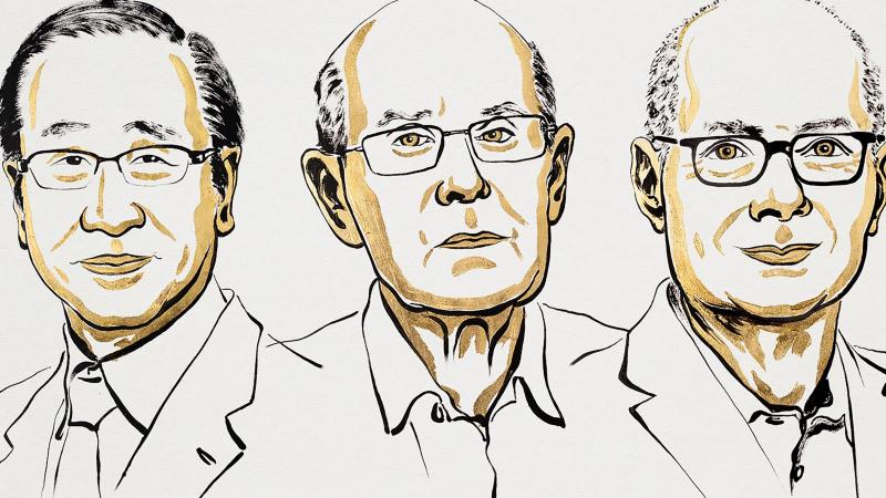 Idén a kémiai Nobel-díjat japán, ausztrál és palesztin tudósok kapták, akik kiemelkedő hozzájárulásukkal forradalmasították a kémiai kutatásokat.