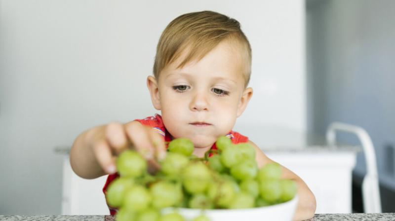 A szőlőket sújtó betegségek nemcsak a növények, hanem az emberek számára is kockázatot jelenthetnek. A szőlőültetvényeken előforduló gombás vagy baktériumos fertőzések, ha nem kezelik őket megfelelően, a szüret során mérgező anyagok felszaporodásához veze