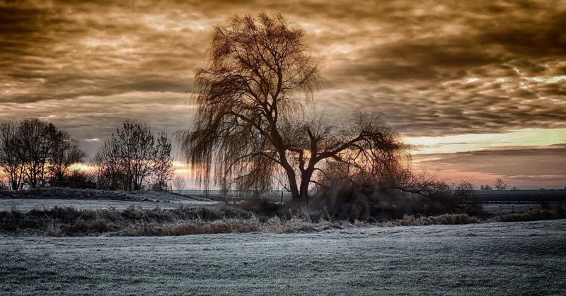 A traktor nem akart beindulni, az itató pedig olyan jeges volt, hogy az ember fázott tőle. Ez a Duna-Tisza közén mért valóság.