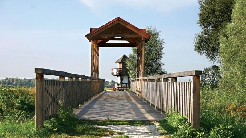 Az életüket kockáztatva segítették a megtorlás elől menekülőket, akiknek a nyugatra való eljutás volt az utolsó reménye. Ők voltak az 1956-os forradalom falusi hősei, akik bátorságukkal és önzetlenségükkel írták be magukat a történelembe.