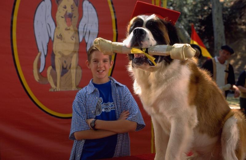 A Beethoven gyerekszínészének titokzatos eltűnése: egy különös történet a színpad és a valóság határvonalán

A zenei világ egyik legismertebb alakja mögött álló gyerekszínész, aki a Beethoven életét feldolgozó darabban ragyogta be a színpadot, hirtelen el