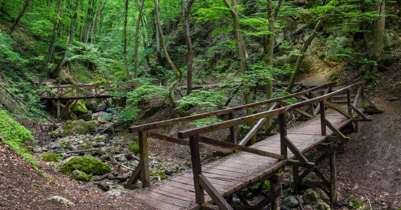 Zárva tart a főváros közelében található népszerű kirándulóhely: itt a magyarázat.
