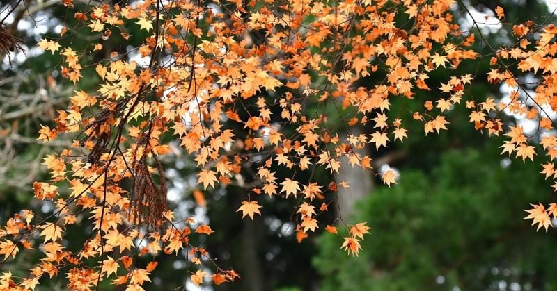 Időjárás: Ne hagyjuk magunkat meglepni, ha a hőmérséklet a mínuszok felé kúszik! +VIDEÓ